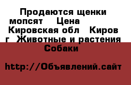 Продаются щенки мопсят. › Цена ­ 18 000 - Кировская обл., Киров г. Животные и растения » Собаки   